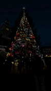 liori_hen Altpins Profile Picture