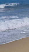 ngha_nhi Altpins Profile Picture