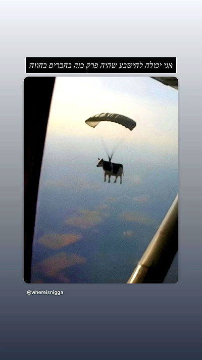 moonliliaght moonliliaght archive video