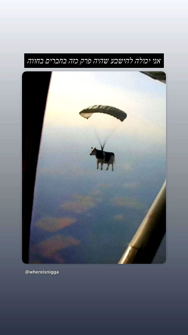 moonliliaght archive video preview