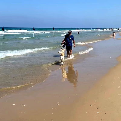 yam_adler yam_adler archive video