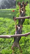 jenny.kaly Altpins Profile Picture