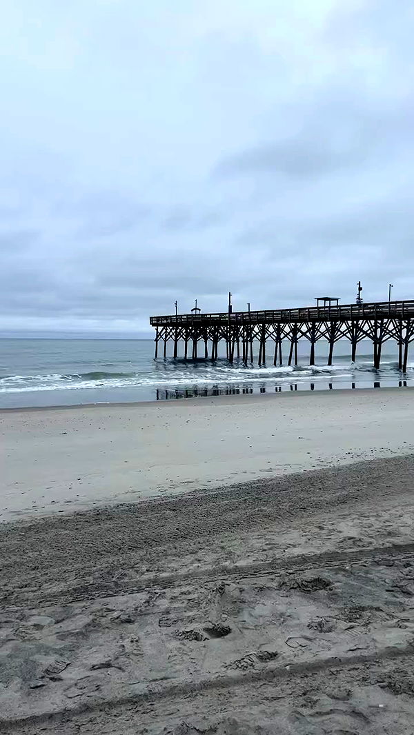 zommmbri archive video preview