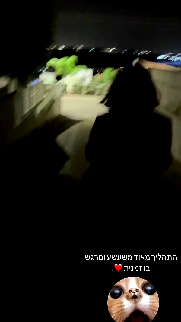 reeftzitpitzit archive video preview