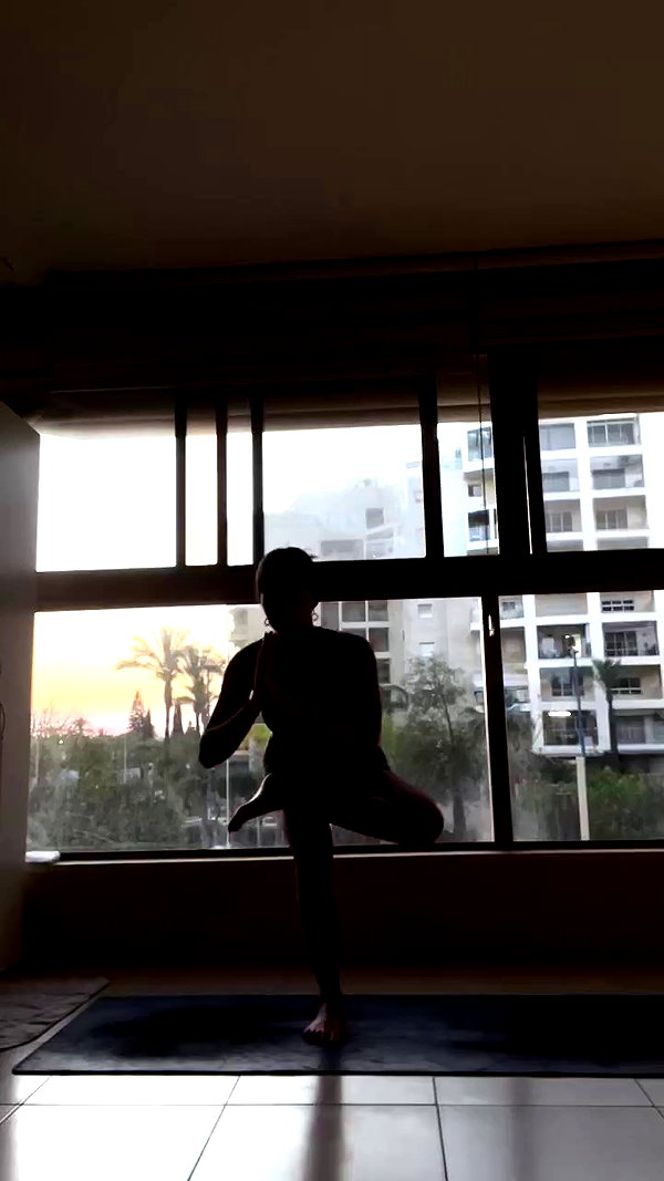 liad.arazi archive video preview