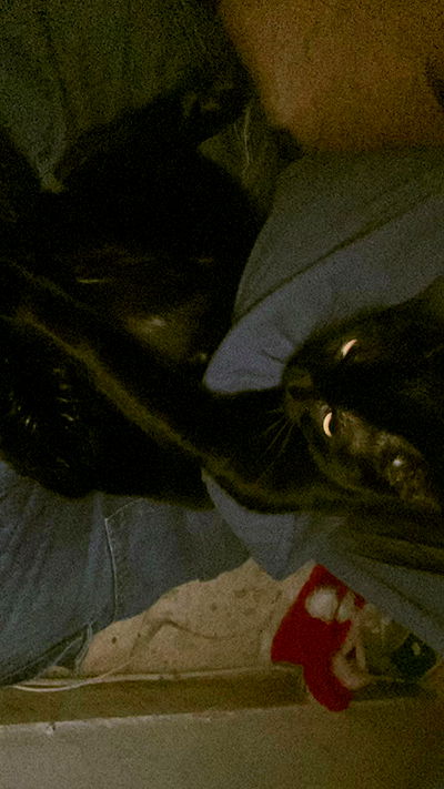 feelbetterinmysweater feelbetterinmysweater archive video