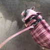 novahnovielli Altpins Profile Picture