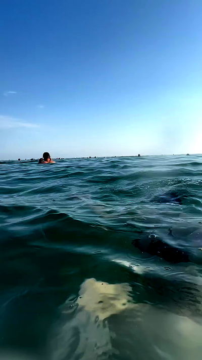 annfigma annfigma archive video