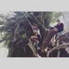 chen__vibes Altpins Profile Picture