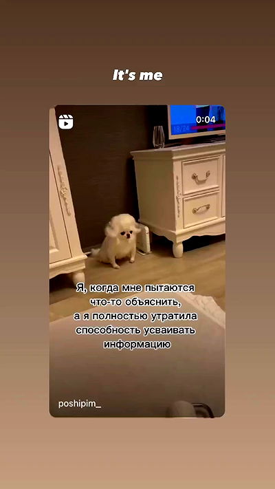 nyityam nyityam archive video