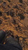 shanidahan7 Altpins Profile Picture