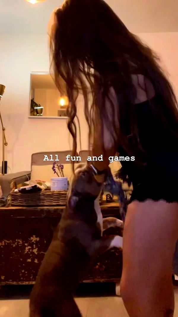 kesemgreenyer archive video preview