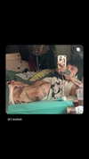 1.lostloli Altpins Profile Picture