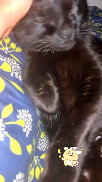 hellokittyangel666 hellokittyangel666 archive video