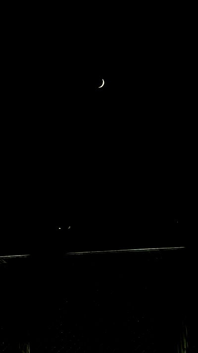 feelbetterinmysweater feelbetterinmysweater archive video