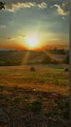 loving_eli1 Altpins Profile Picture