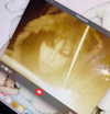 chateaubunni Altpins Profile Picture
