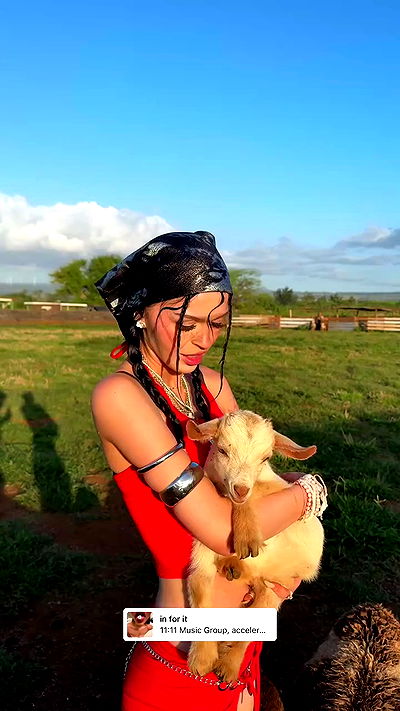 nevaaadaa nevaaadaa archive video