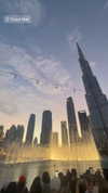 eli_natan_ Altpins Profile Picture