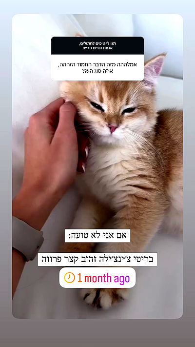 itsilanosh itsilanosh archive video