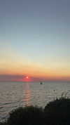 emelyeender Altpins Profile Picture