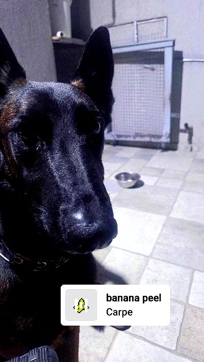 avital_1010.2003 avital_1010.2003 archive video