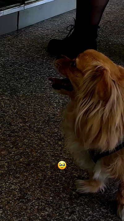 noyaislilith333 noyaislilith333 archive video