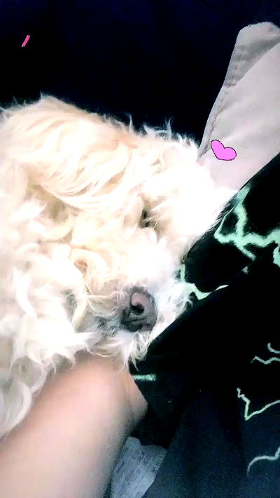 feelbetterinmysweater feelbetterinmysweater archive video