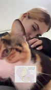 avitallllllll Altpins Profile Picture