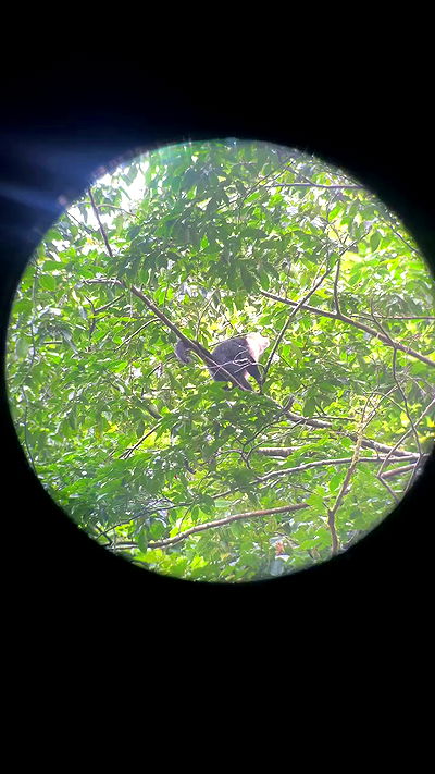 valeria_lukin valeria_lukin archive video