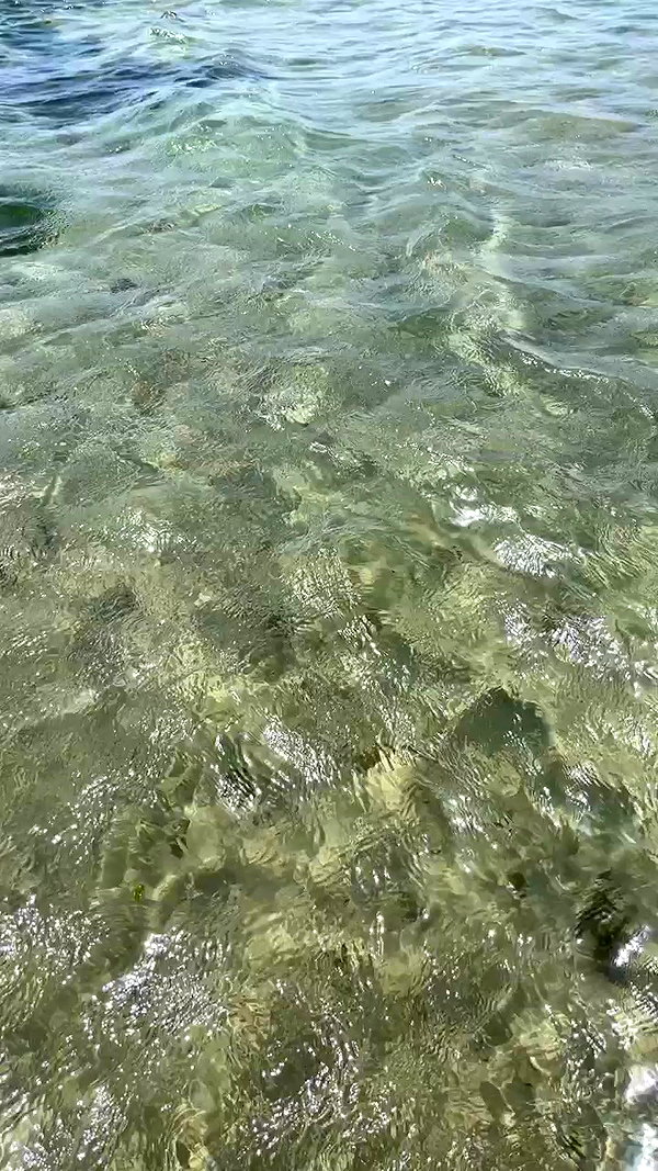 _hilazulay archive video preview