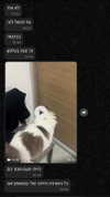 assoolin Altpins Profile Picture