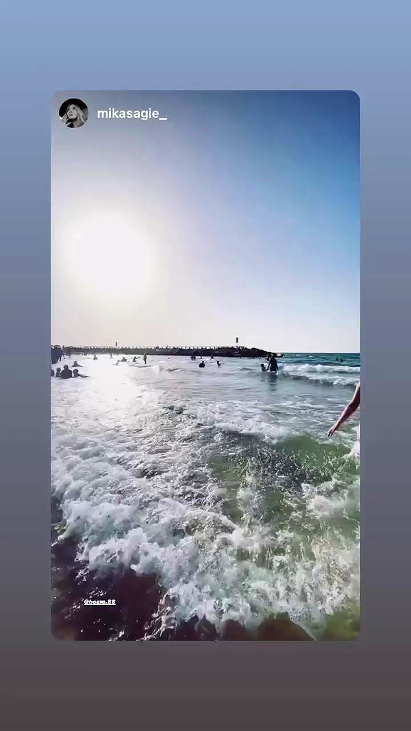 noam.88 archive video preview