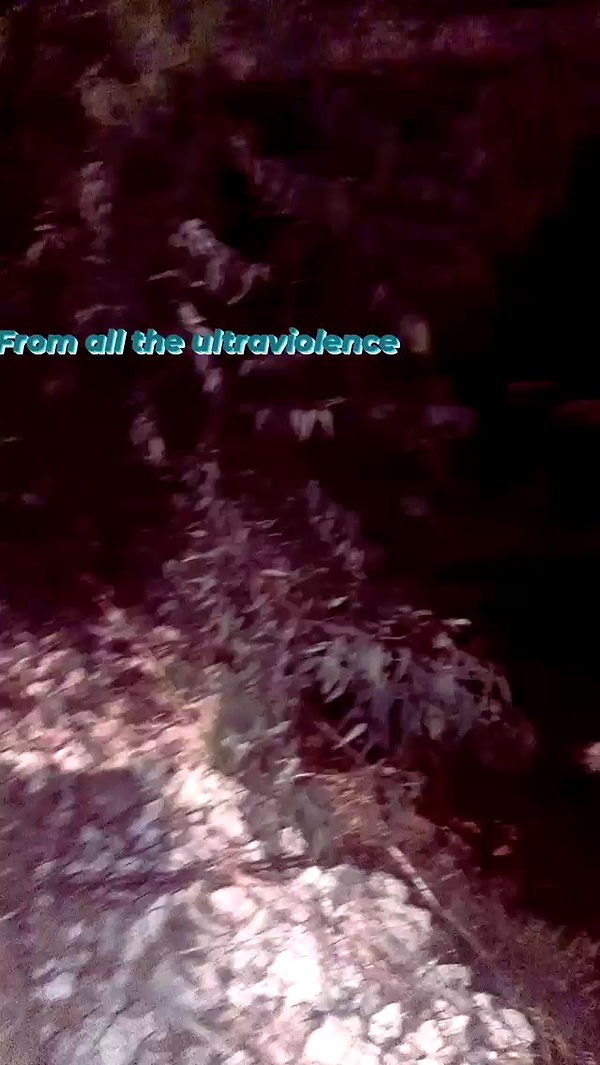 noyaislilith333 archive video preview