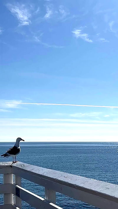 payton.r payton.r archive video