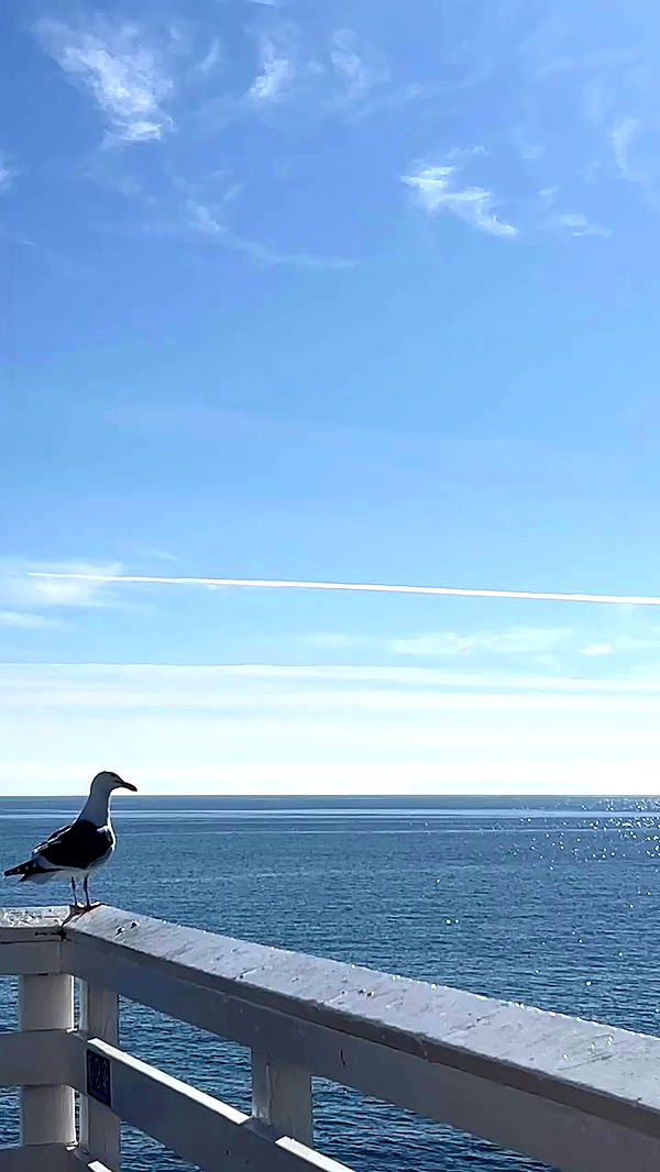 payton.r archive video preview