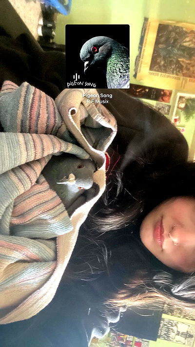 feelbetterinmysweater feelbetterinmysweater archive video