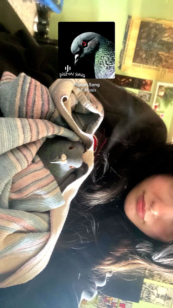 feelbetterinmysweater archive video preview