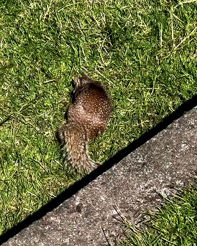 itshayleydavies itshayleydavies archive video