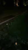 railey.tv Altpins Profile Picture