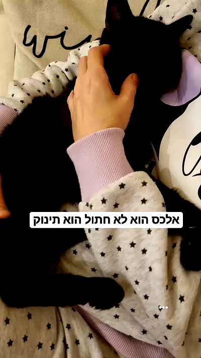 laluzone laluzone archive video