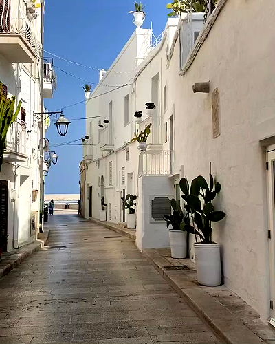 yam_adler yam_adler archive video