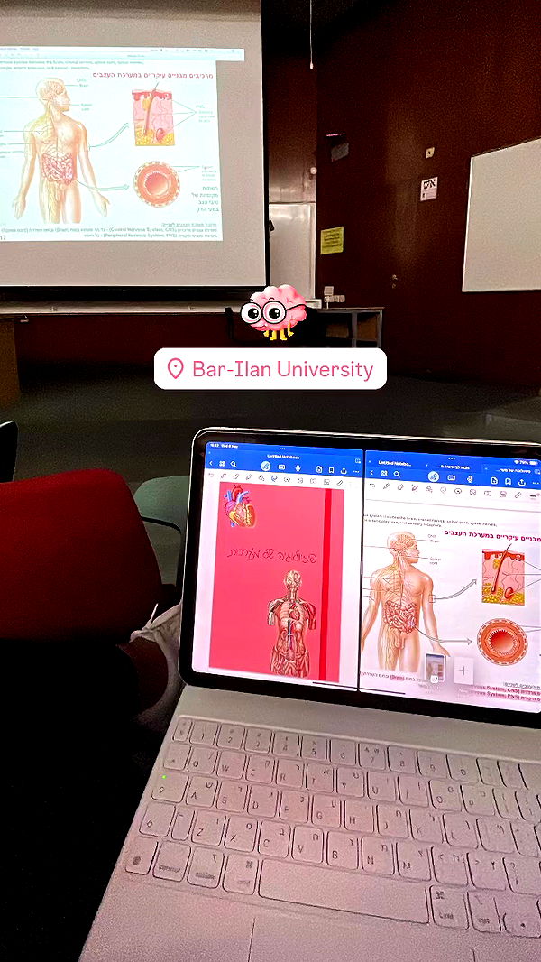 kesemgreenyer archive video preview