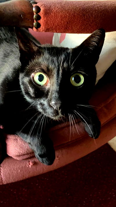 feelbetterinmysweater feelbetterinmysweater archive video