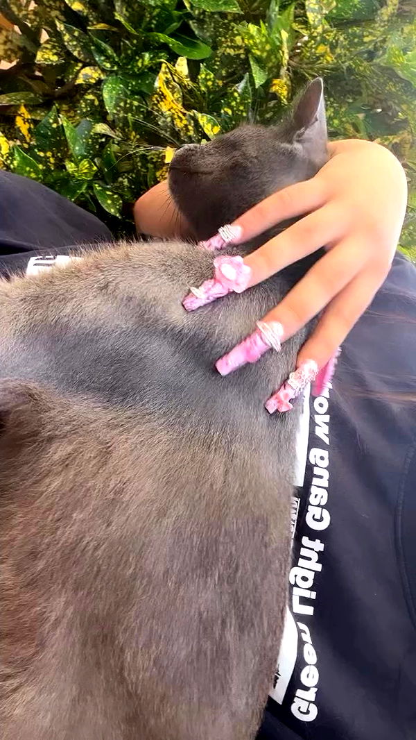 hellokittyangel666 archive video preview