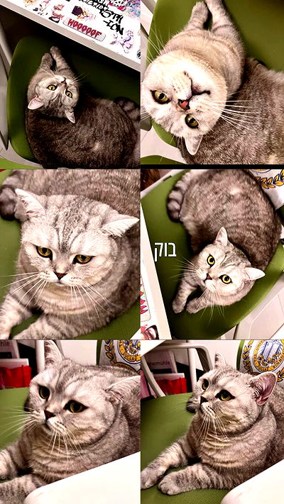 elianachetrit elianachetrit archive video