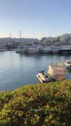 viol.gubin Altpins Profile Picture