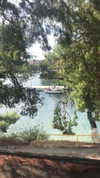 viol.gubin Altpins Profile Picture