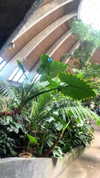 viol.gubin Altpins Profile Picture