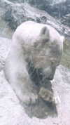 viol.gubin Altpins Profile Picture